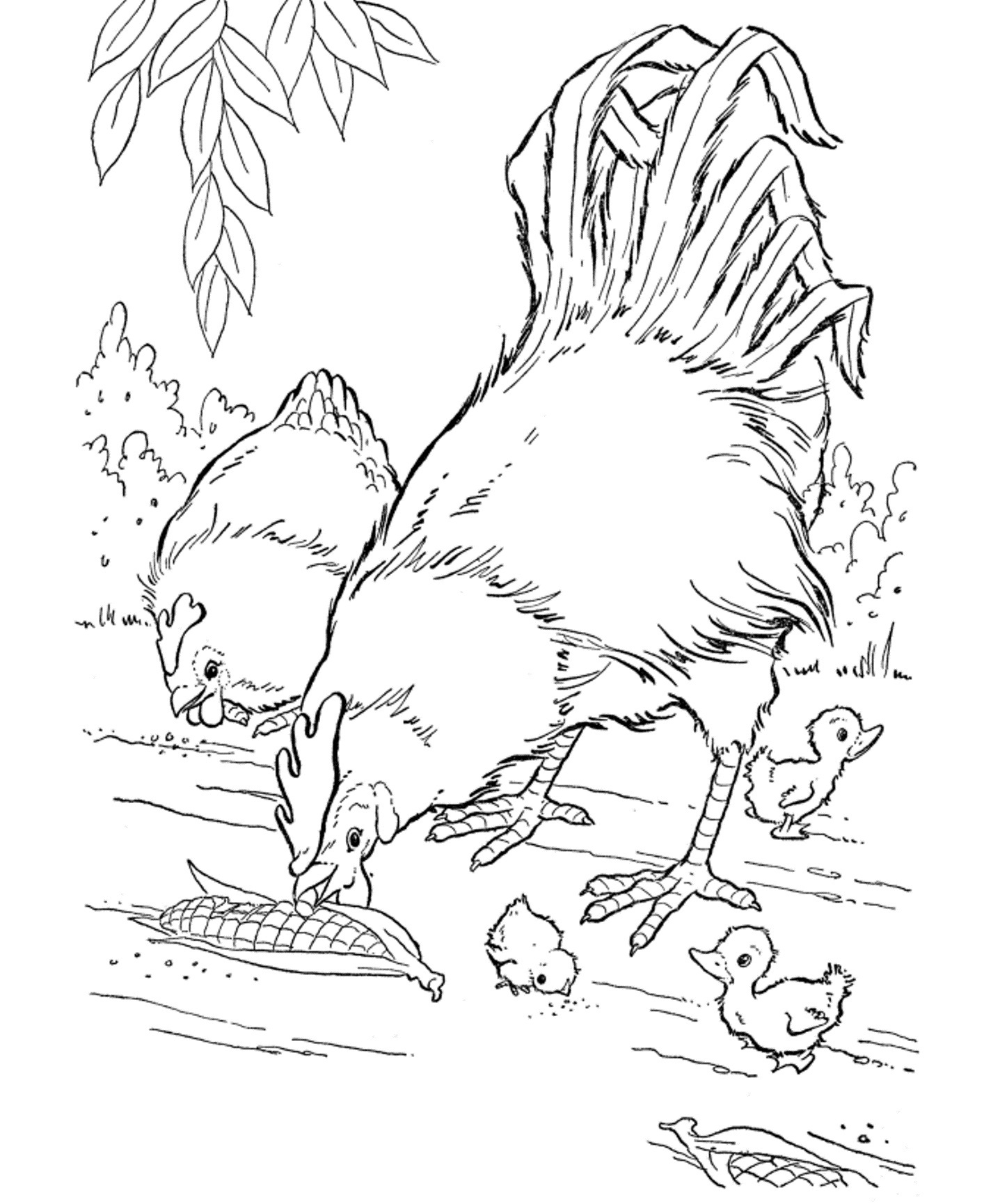 91 Wild Animal Coloring Pages Printable 5