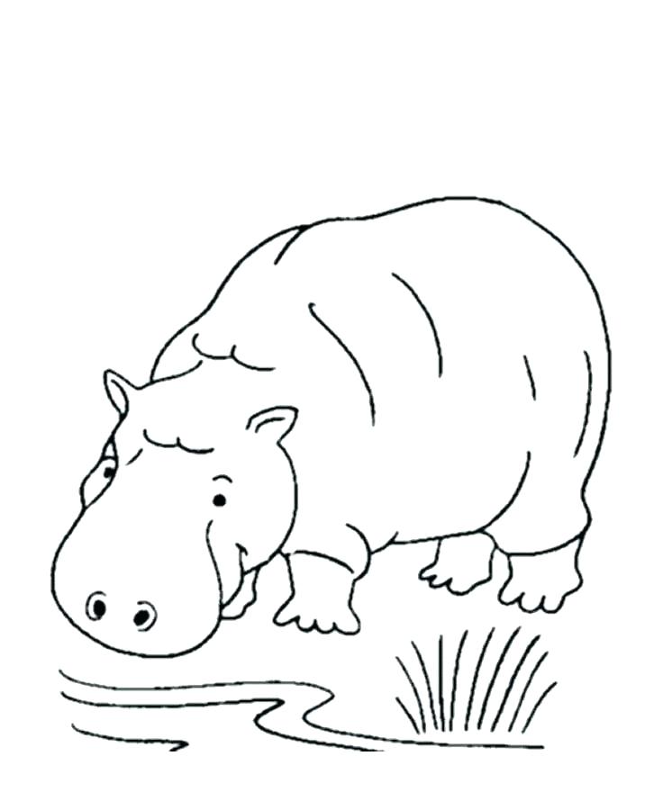 91 Wild Animal Coloring Pages Printable 55