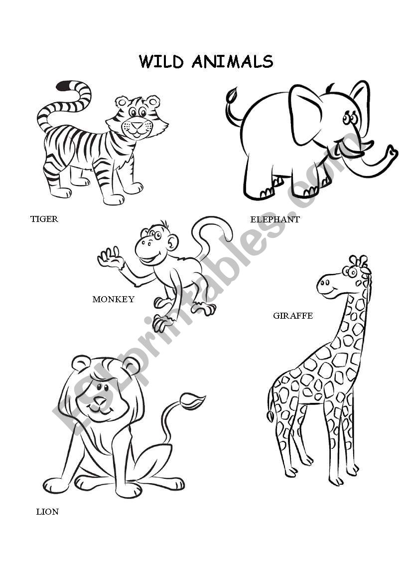 91 Wild Animal Coloring Pages Printable 58