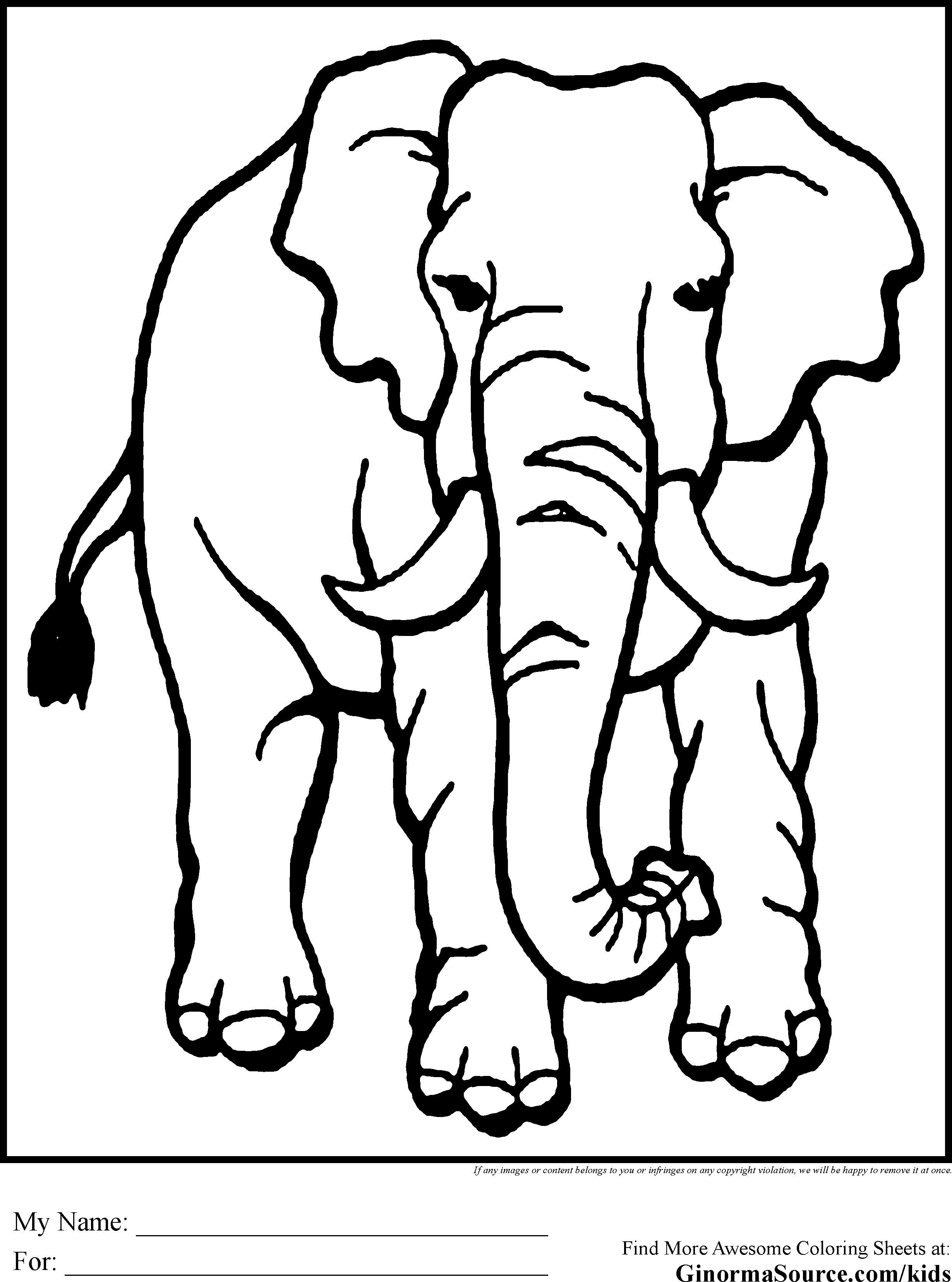 91 Wild Animal Coloring Pages Printable 70