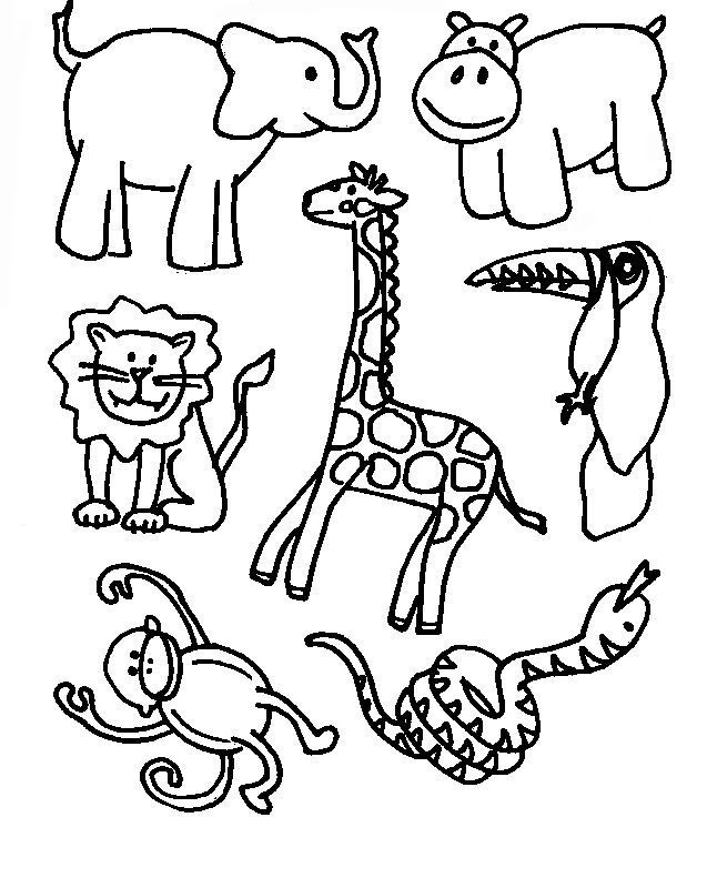 91 Wild Animal Coloring Pages Printable 71