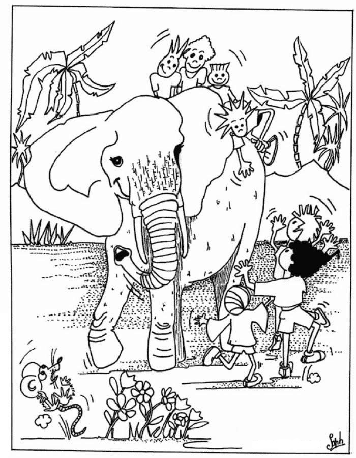 91 Wild Animal Coloring Pages Printable 72