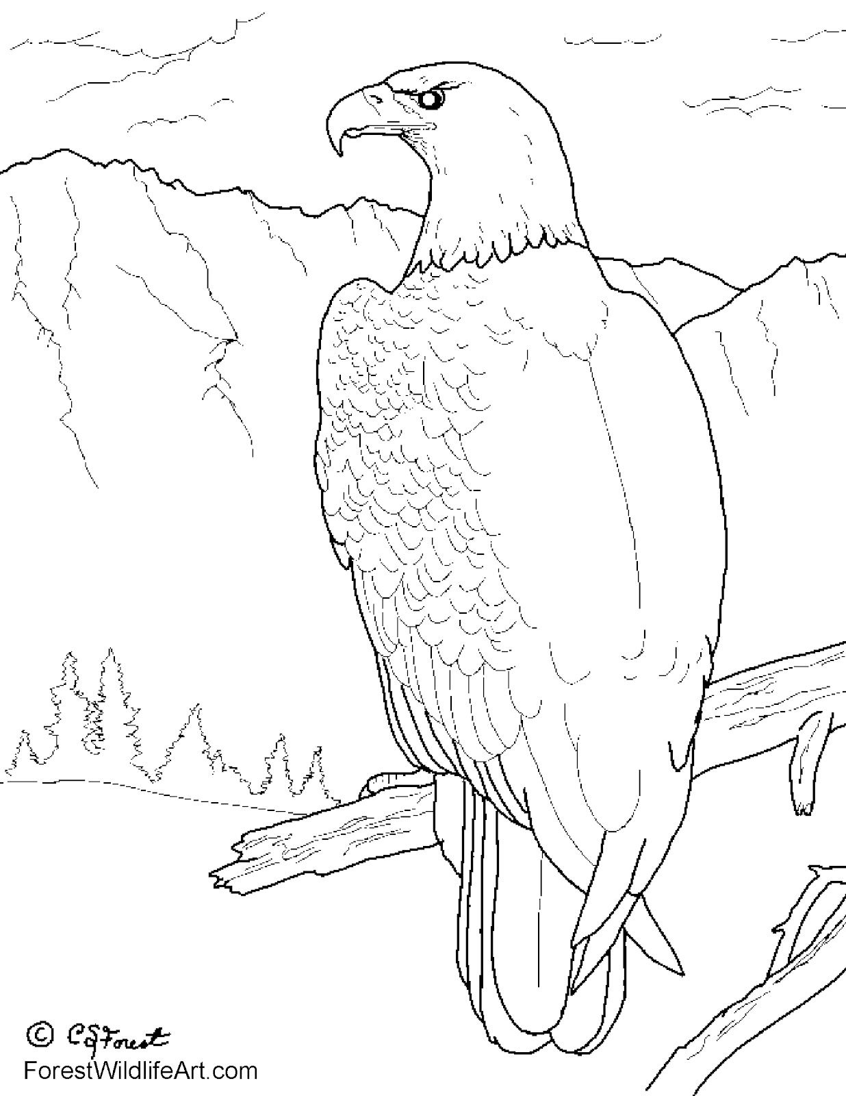 91 Wild Animal Coloring Pages Printable 76