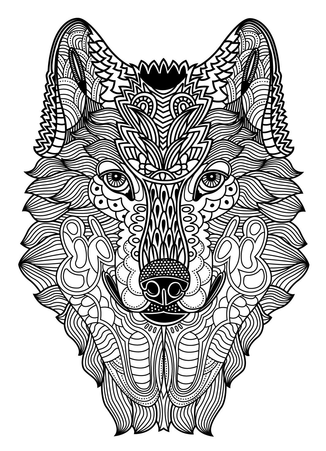 91 Wild Animal Coloring Pages Printable 82