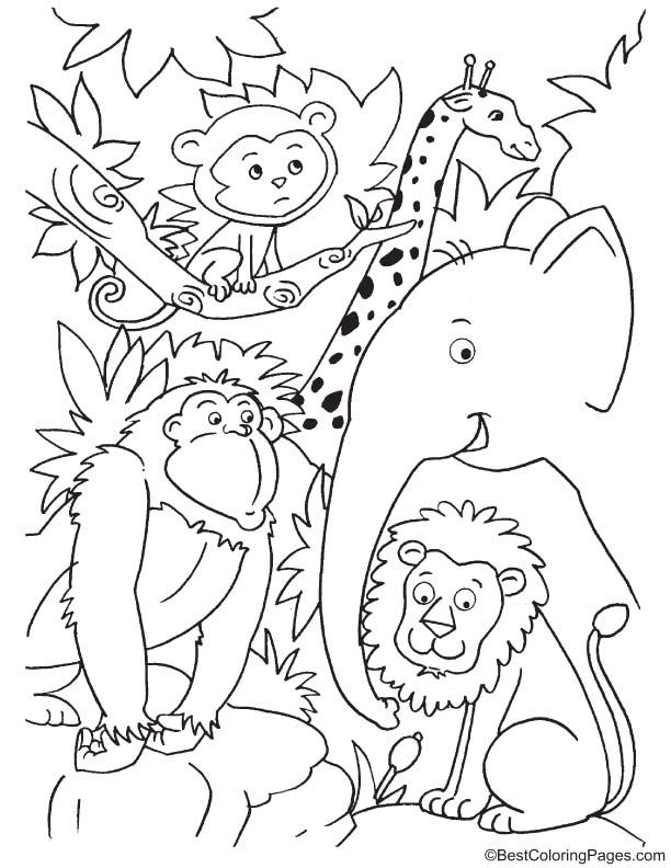 91 Wild Animal Coloring Pages Printable 84