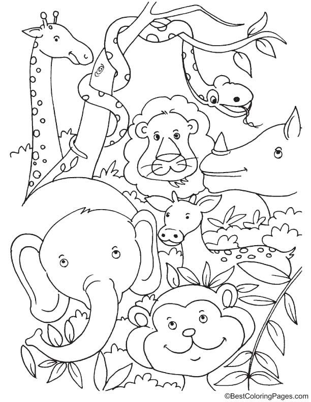 91 Wild Animal Coloring Pages Printable 86