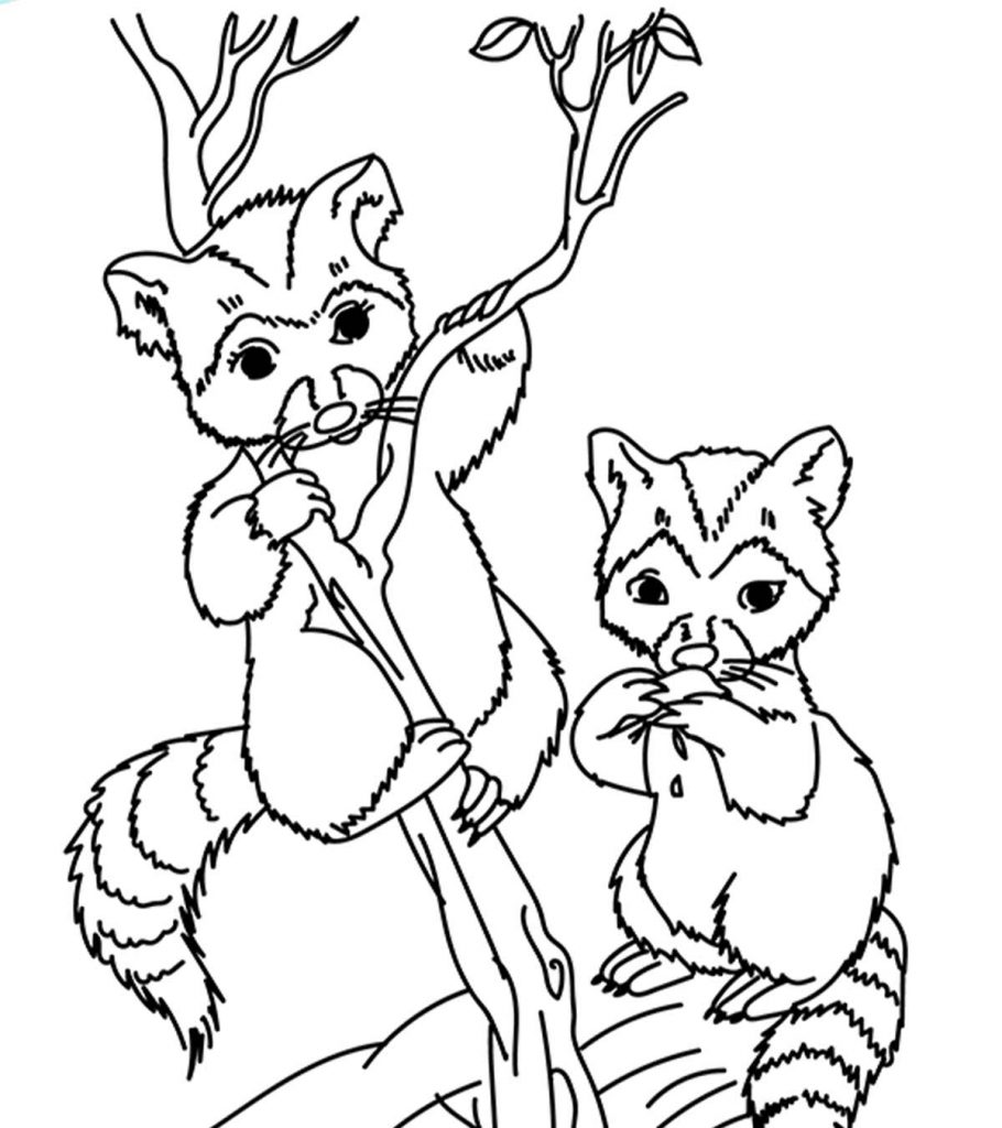 91 Wild Animal Coloring Pages Printable 87