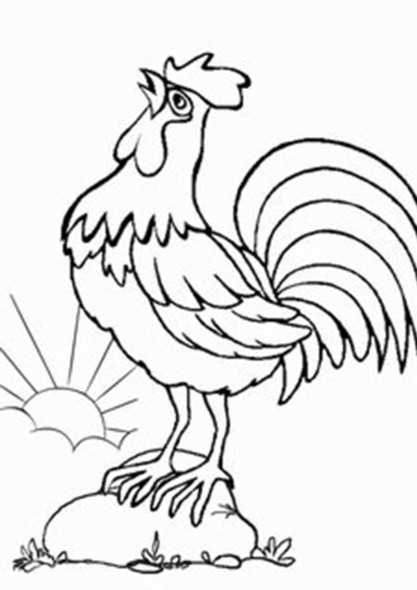 113 Chicken Coloring Pages Free Printable 100