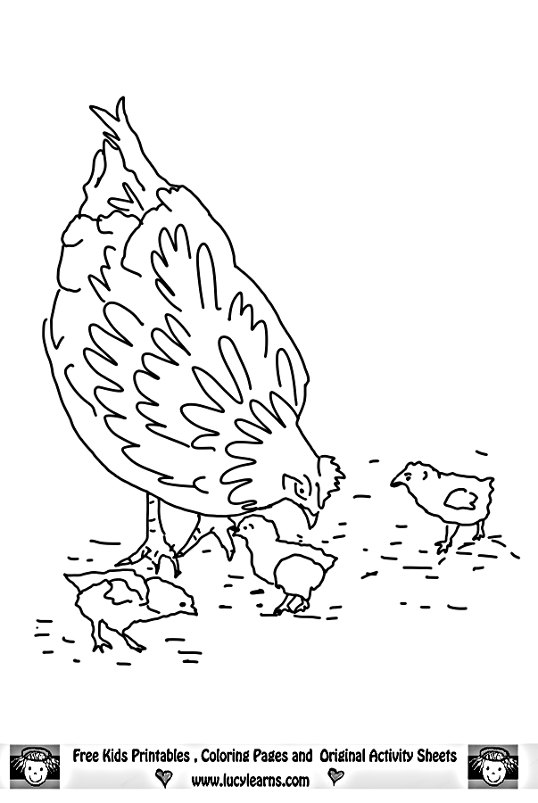 113 Chicken Coloring Pages Free Printable 108