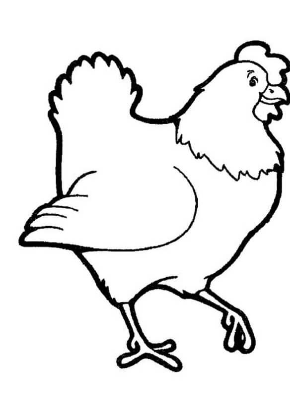 113 Chicken Coloring Pages Free Printable 11