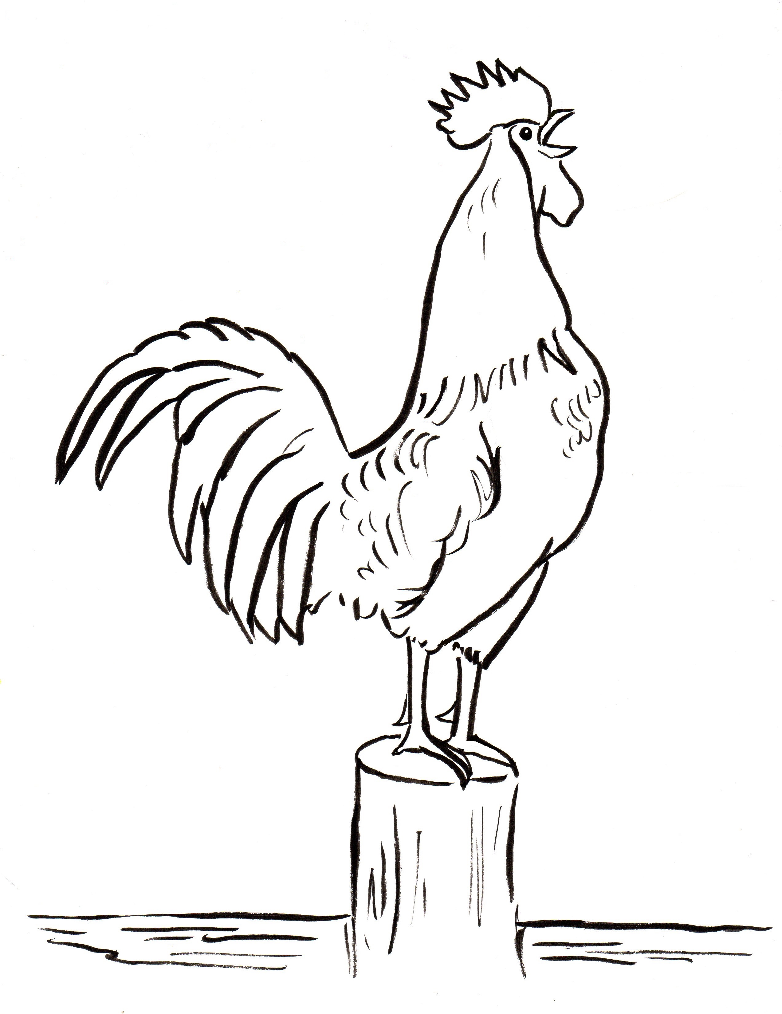 113 Chicken Coloring Pages Free Printable 112