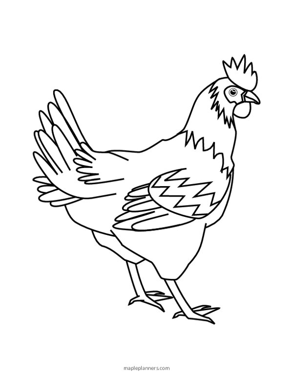 113 Chicken Coloring Pages Free Printable 19