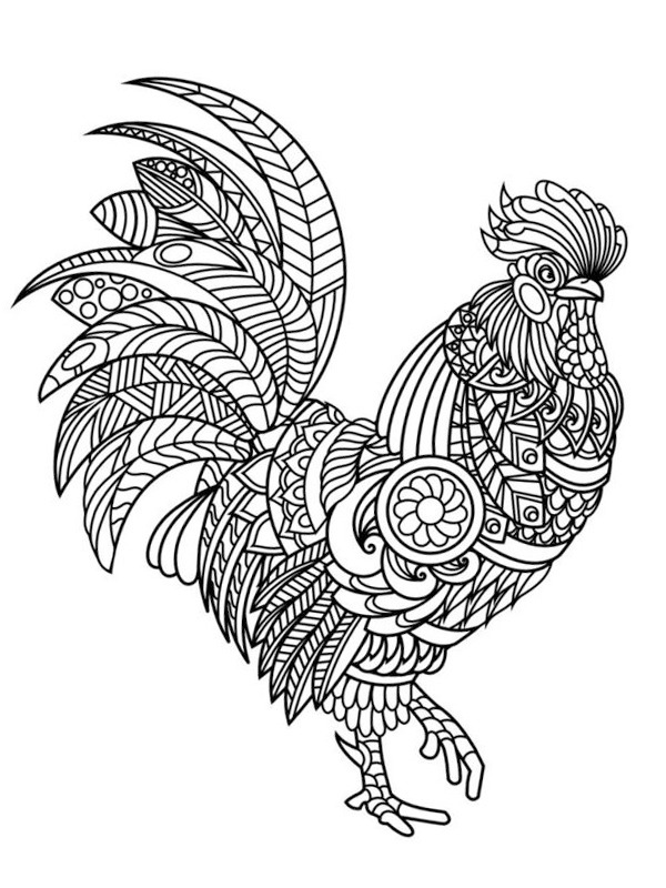 113 Chicken Coloring Pages Free Printable 26