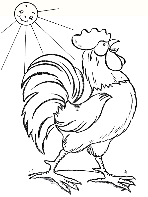 113 Chicken Coloring Pages Free Printable 33