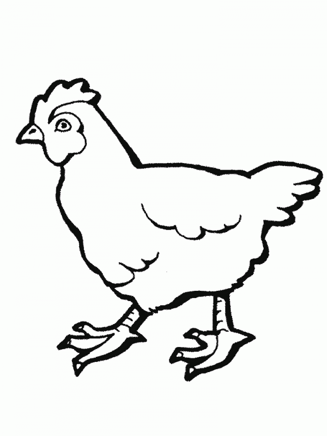 113 Chicken Coloring Pages Free Printable 37