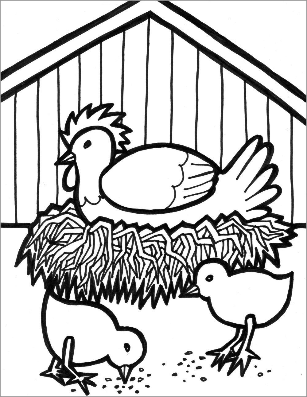 113 Chicken Coloring Pages Free Printable 4