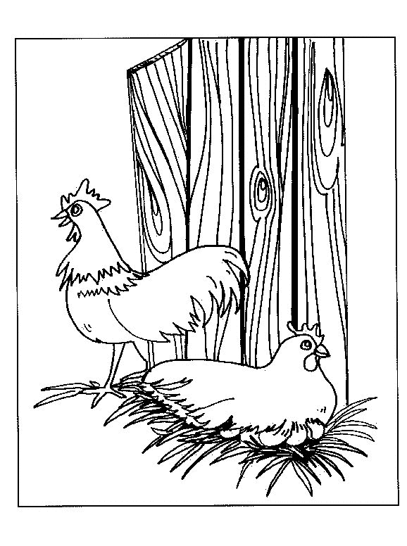 113 Chicken Coloring Pages Free Printable 41