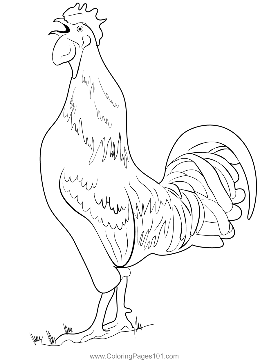 113 Chicken Coloring Pages Free Printable 45