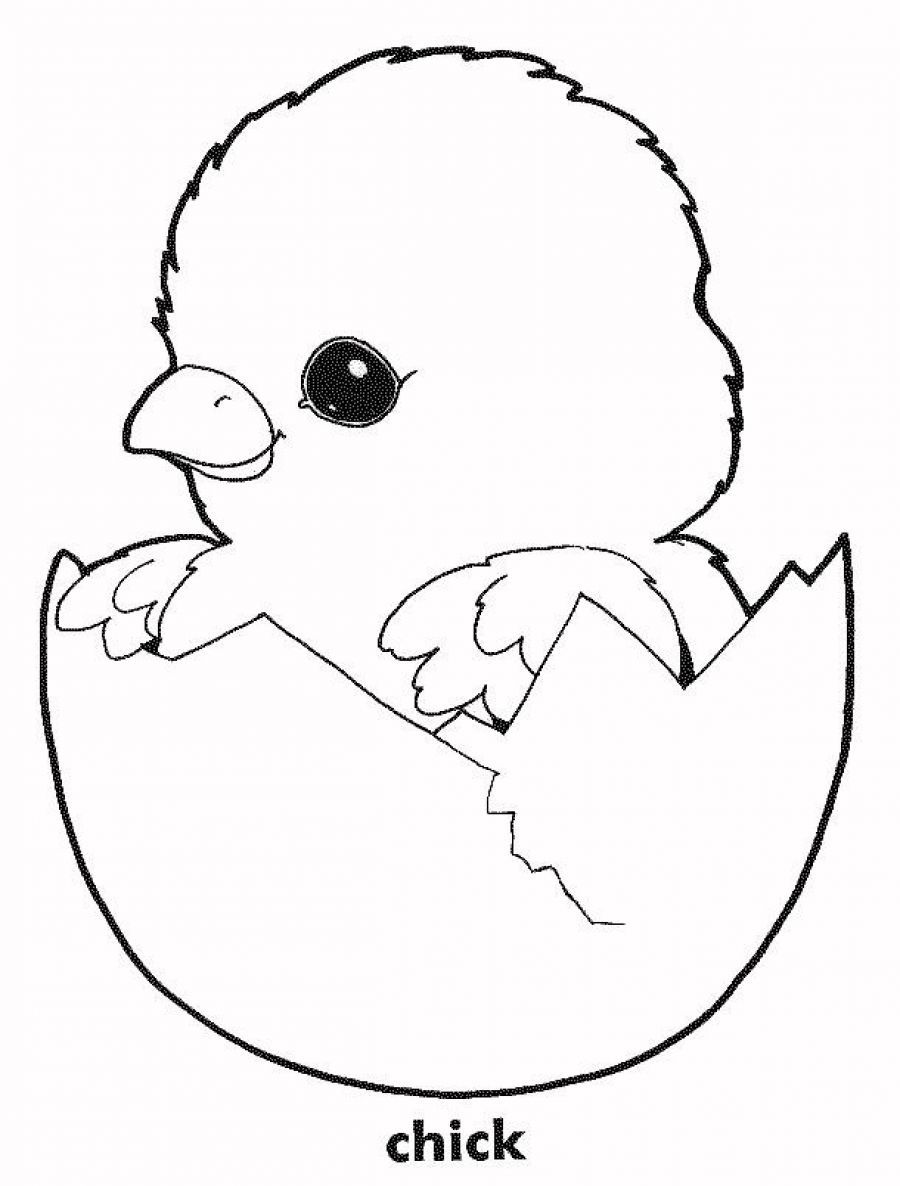 113 Chicken Coloring Pages Free Printable 5