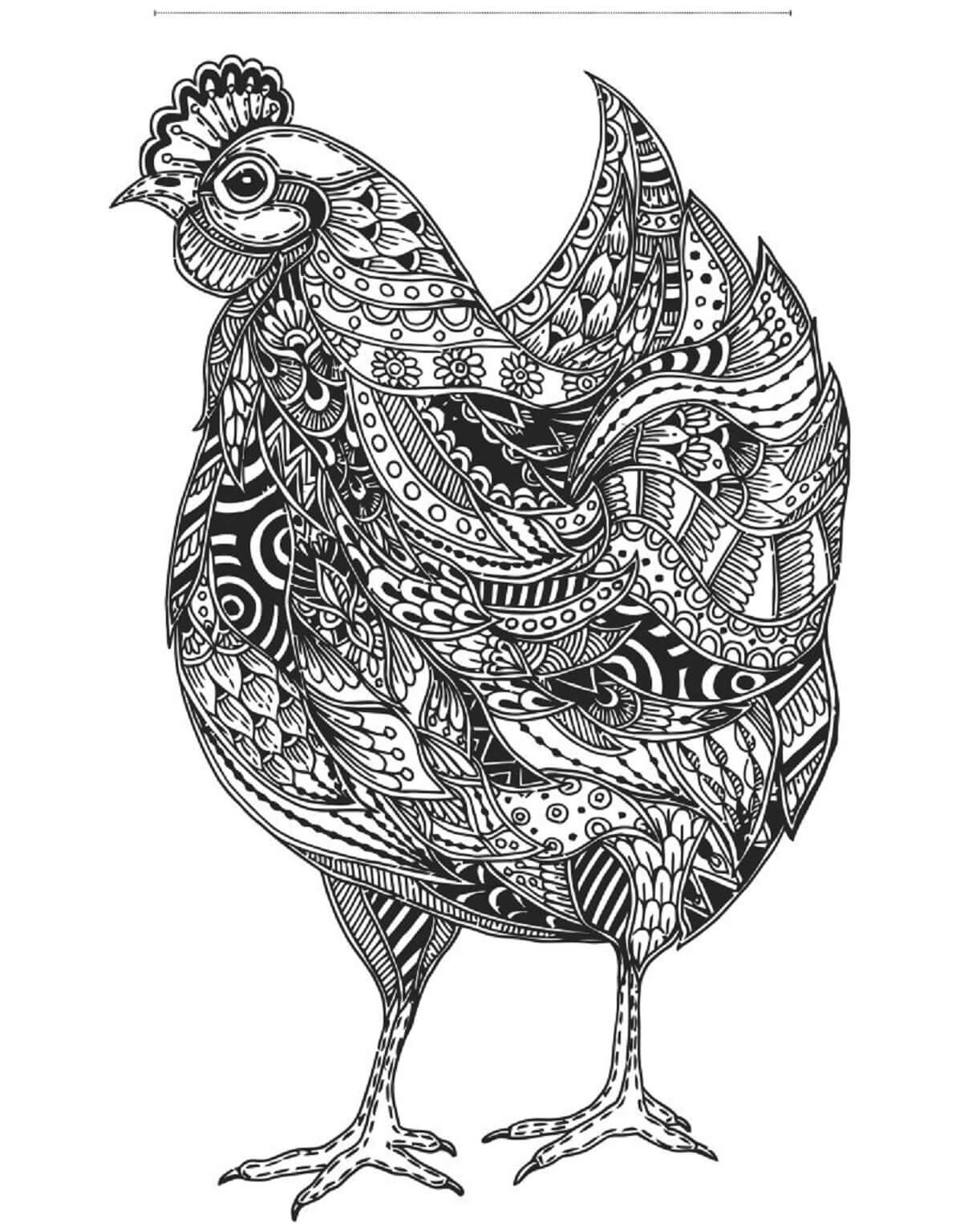 113 Chicken Coloring Pages Free Printable 50