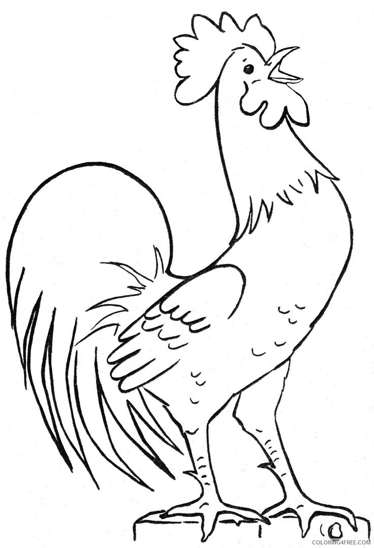 113 Chicken Coloring Pages Free Printable 51