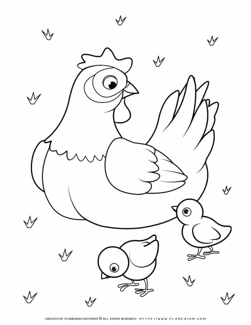 113 Chicken Coloring Pages Free Printable 53