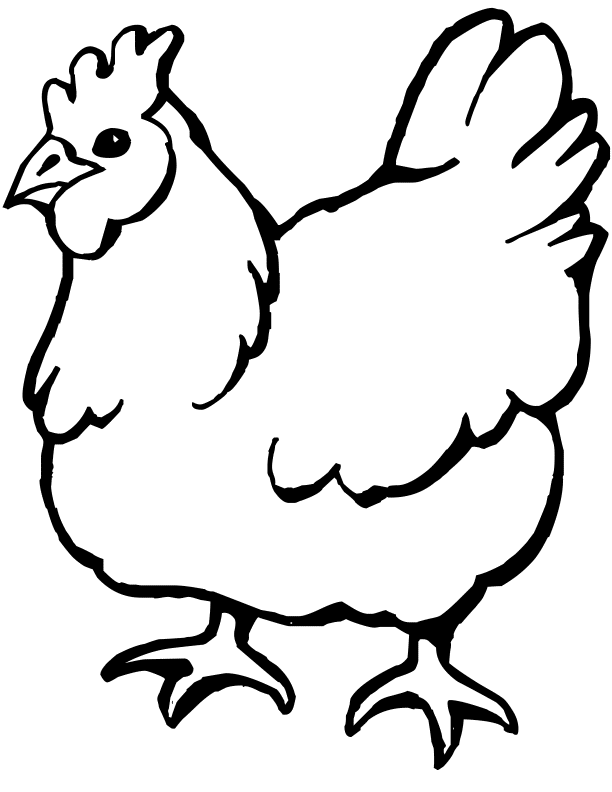 113 Chicken Coloring Pages Free Printable 6