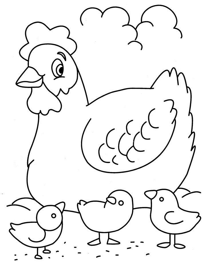 113 Chicken Coloring Pages Free Printable 66