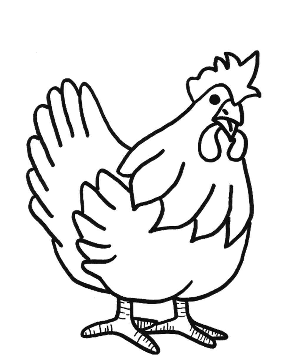 113 Chicken Coloring Pages Free Printable 75