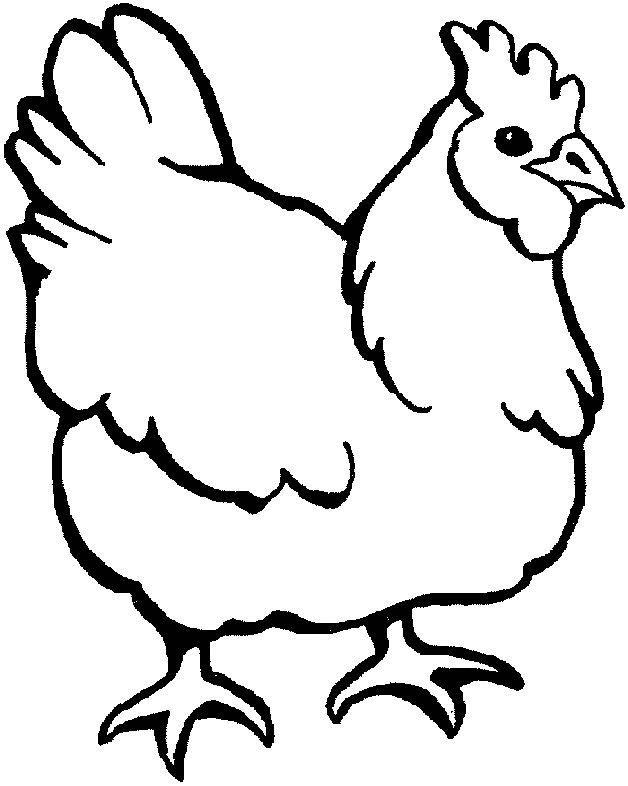 113 Chicken Coloring Pages Free Printable 76