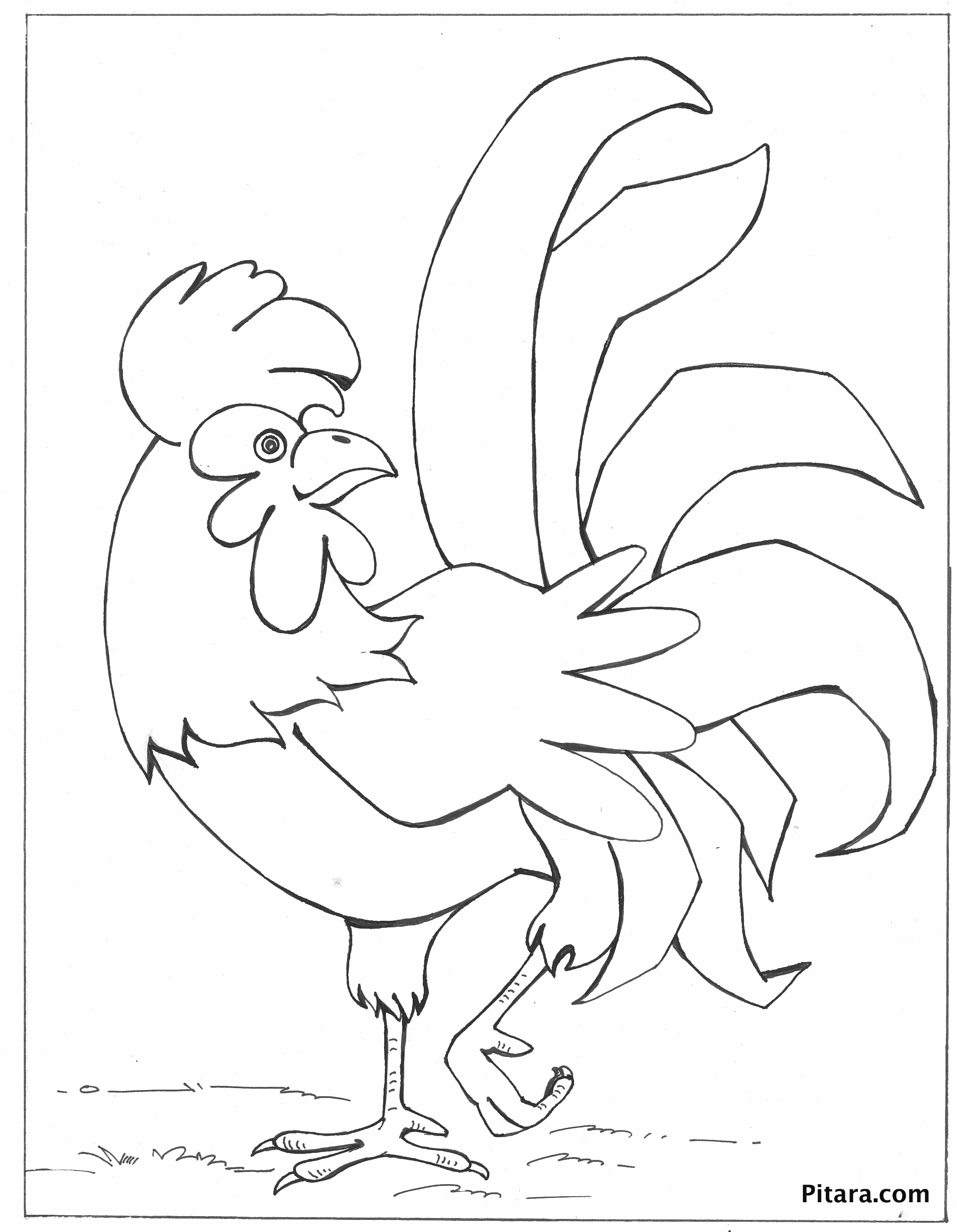 113 Chicken Coloring Pages Free Printable 79