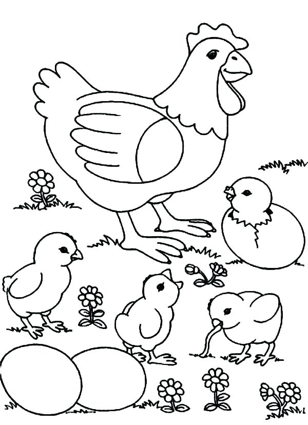 113 Chicken Coloring Pages Free Printable 85