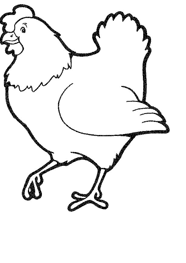 113 Chicken Coloring Pages Free Printable 86