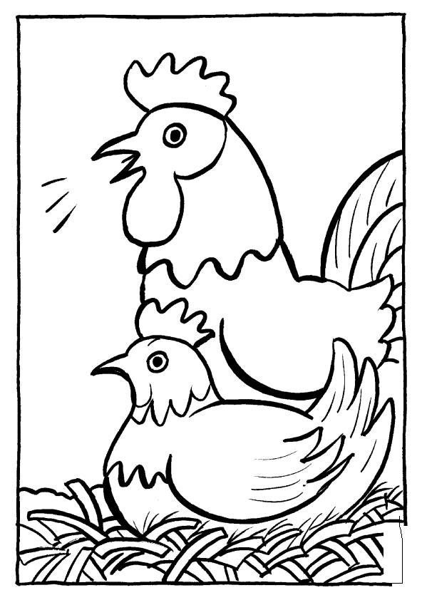 113 Chicken Coloring Pages Free Printable 89