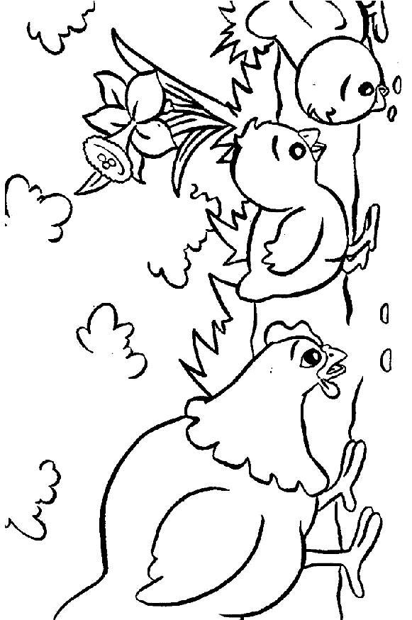 113 Chicken Coloring Pages Free Printable 93