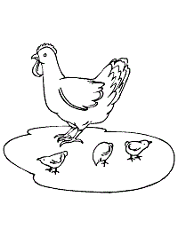 113 Chicken Coloring Pages Free Printable 94