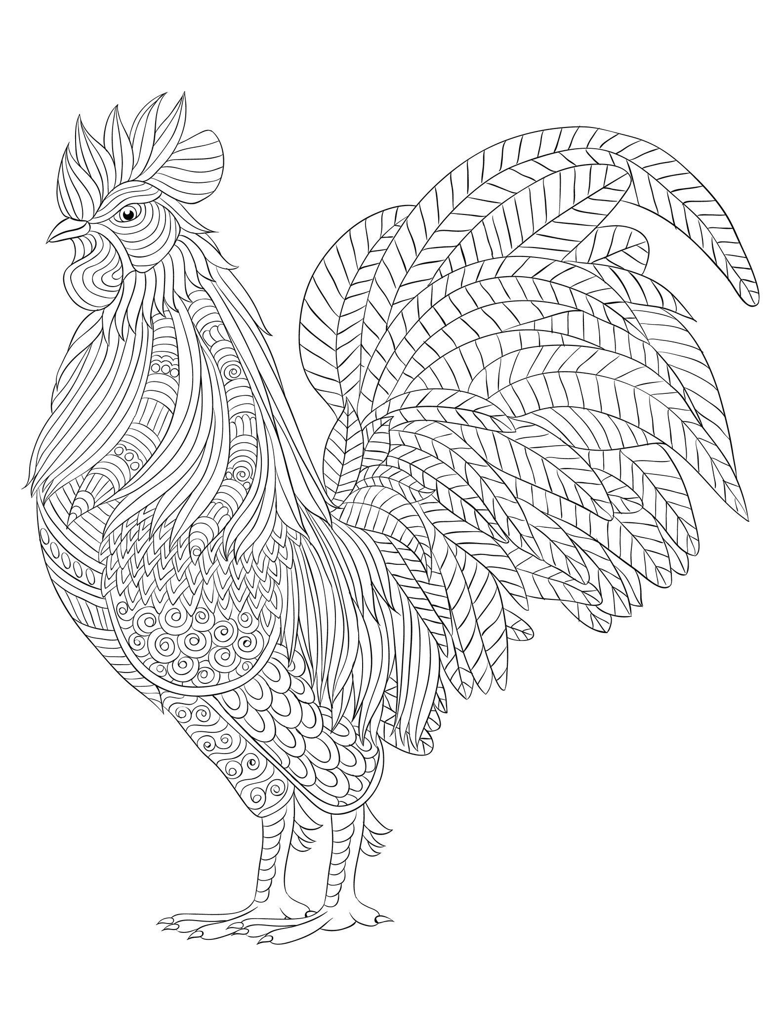 113 Chicken Coloring Pages Free Printable 95