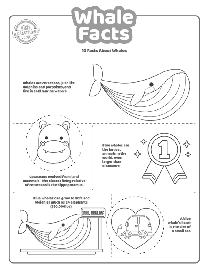 113 Whale Coloring Pages for Kids Printable 100