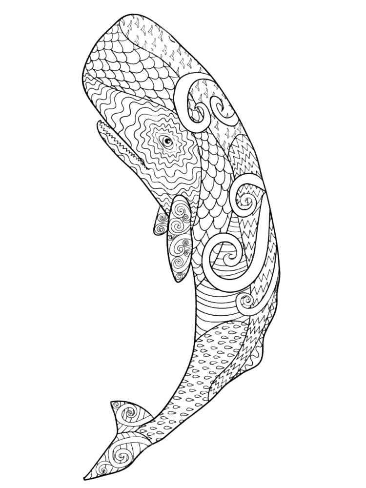 113 Whale Coloring Pages for Kids Printable 105