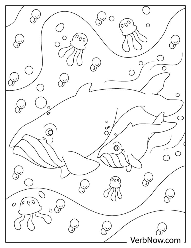 113 Whale Coloring Pages for Kids Printable 106