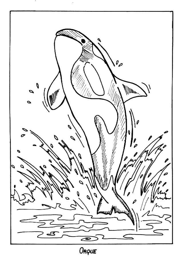 113 Whale Coloring Pages for Kids Printable 109