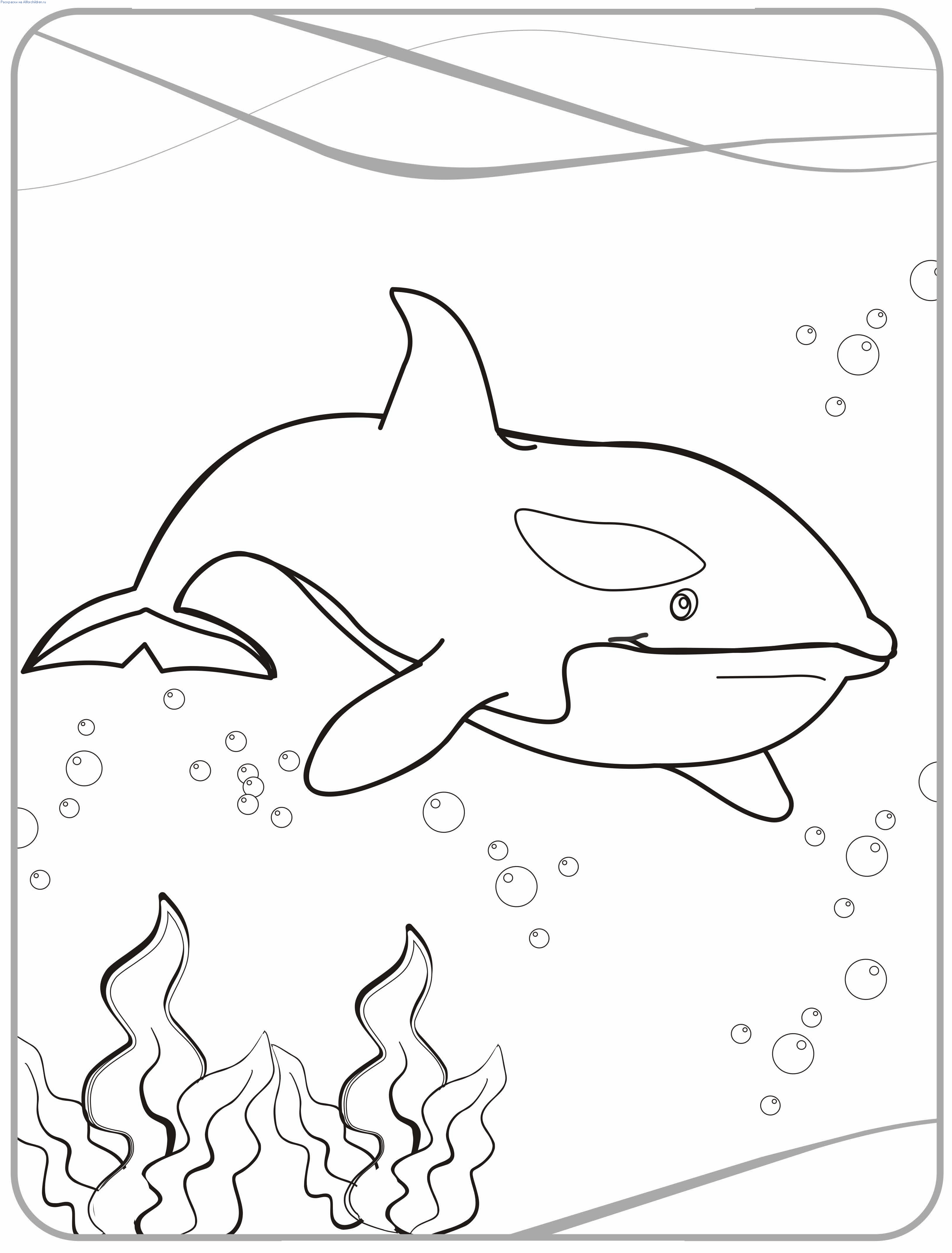 113 Whale Coloring Pages for Kids Printable 110