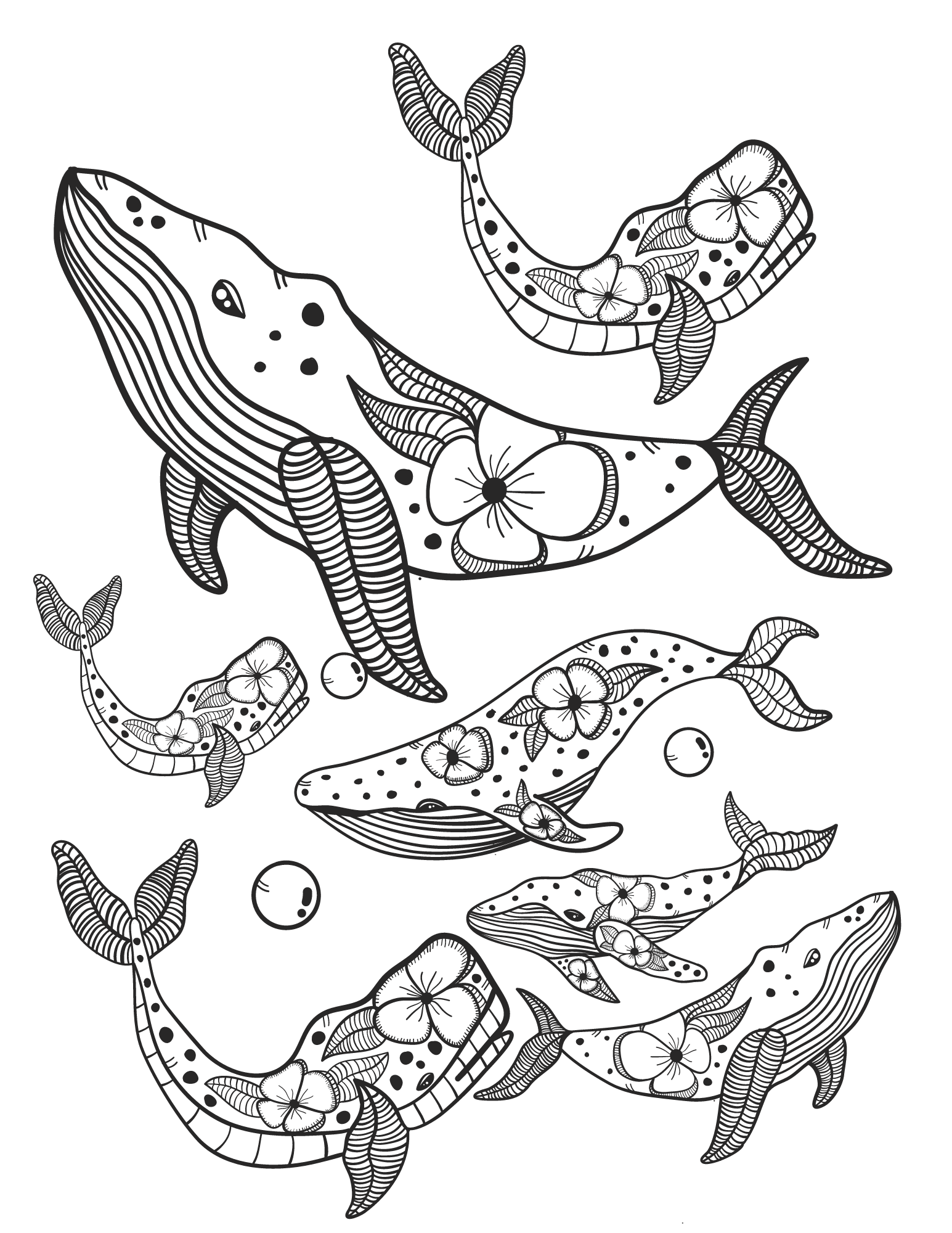 113 Whale Coloring Pages for Kids Printable 111