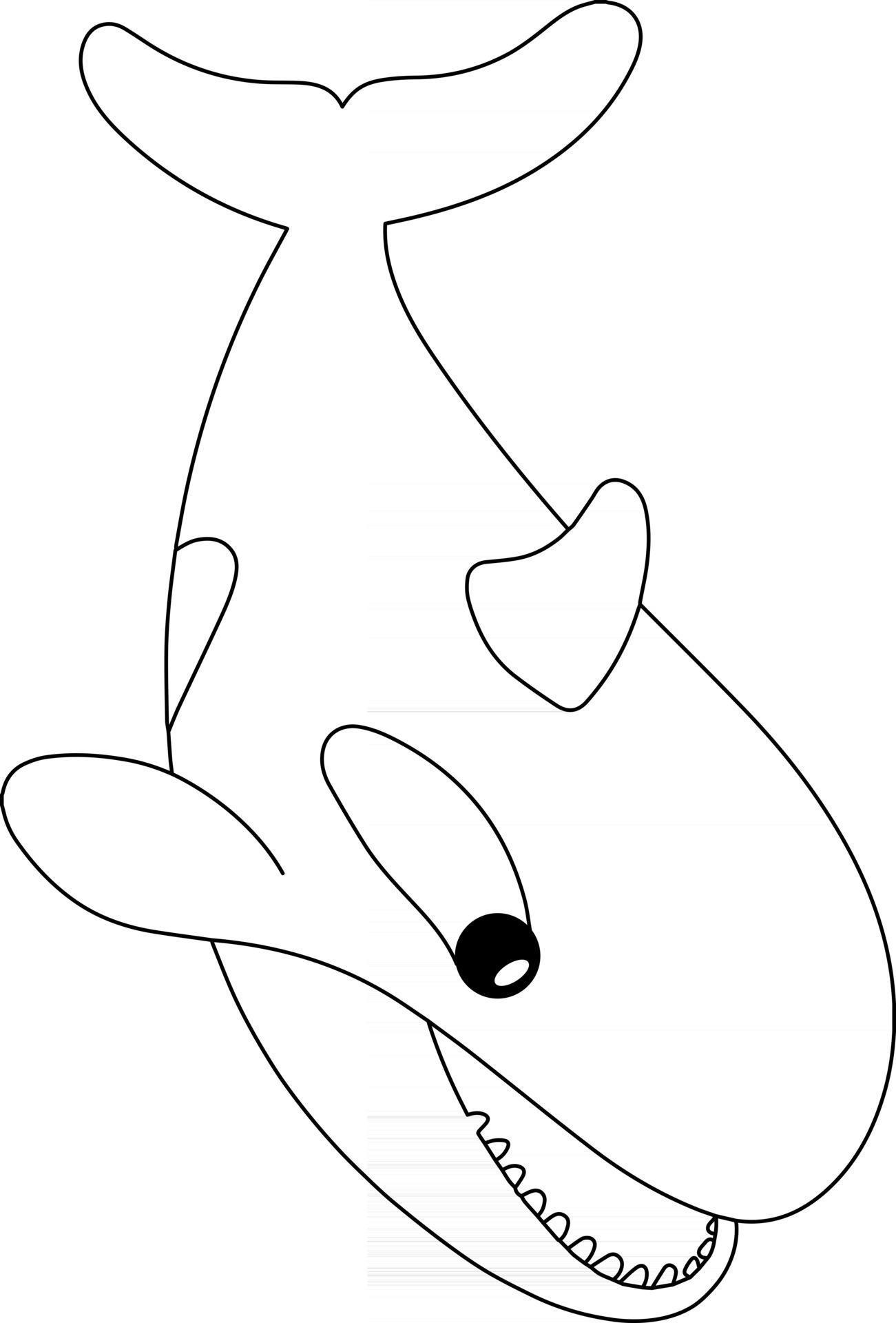 113 Whale Coloring Pages for Kids Printable 14