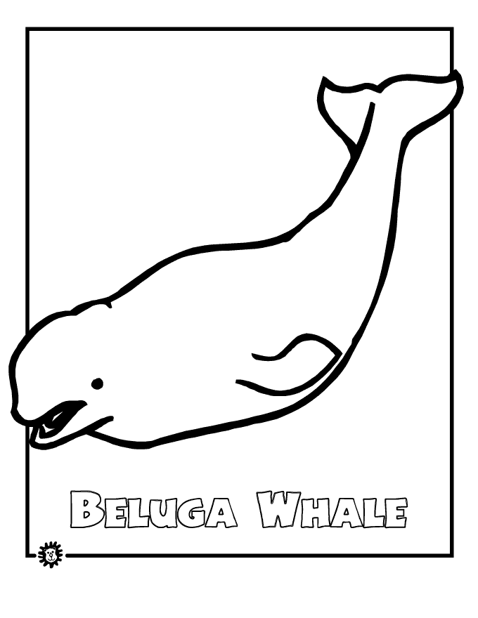 113 Whale Coloring Pages for Kids Printable 15