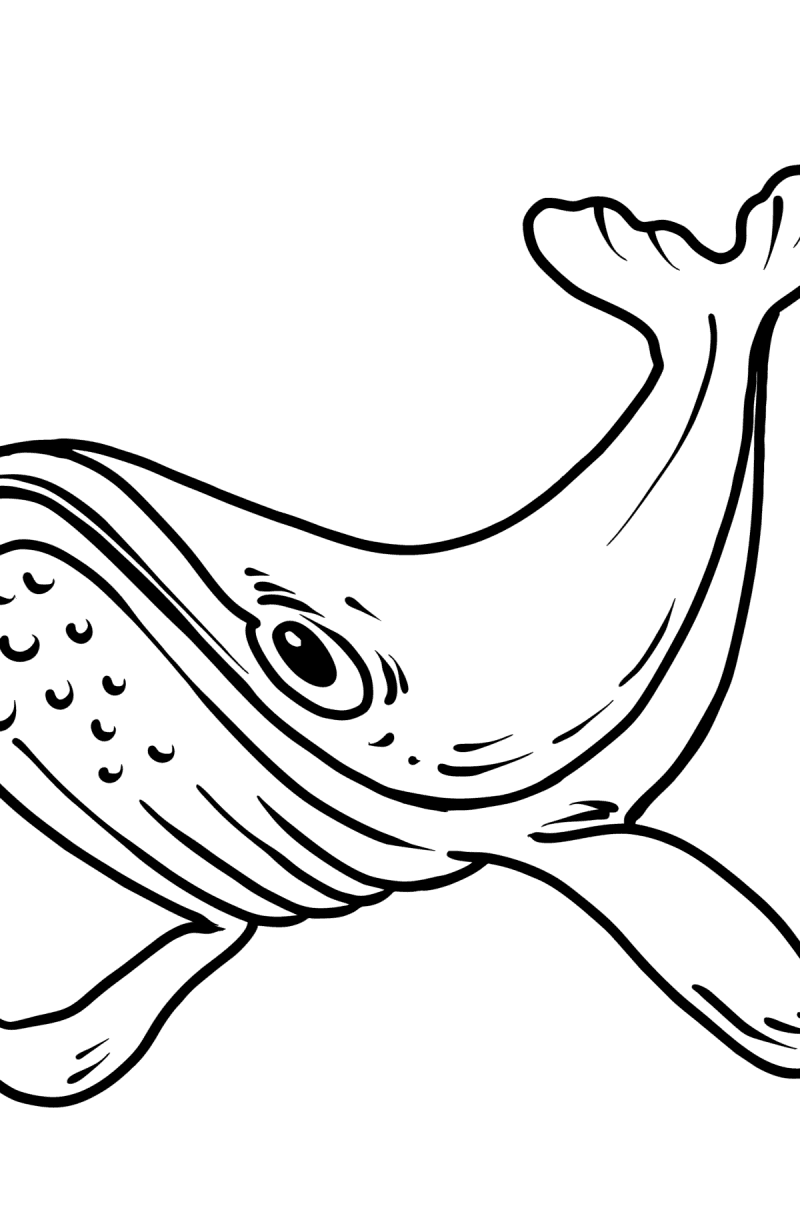 113 Whale Coloring Pages for Kids Printable 16