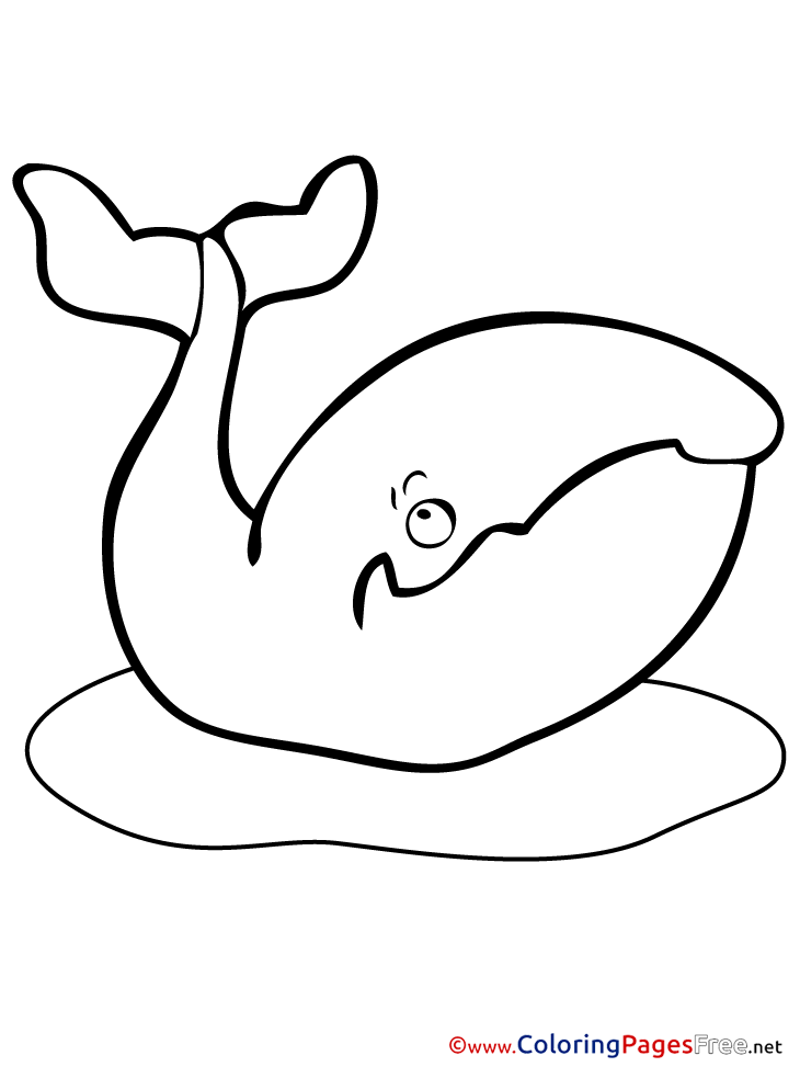 113 Whale Coloring Pages for Kids Printable 17