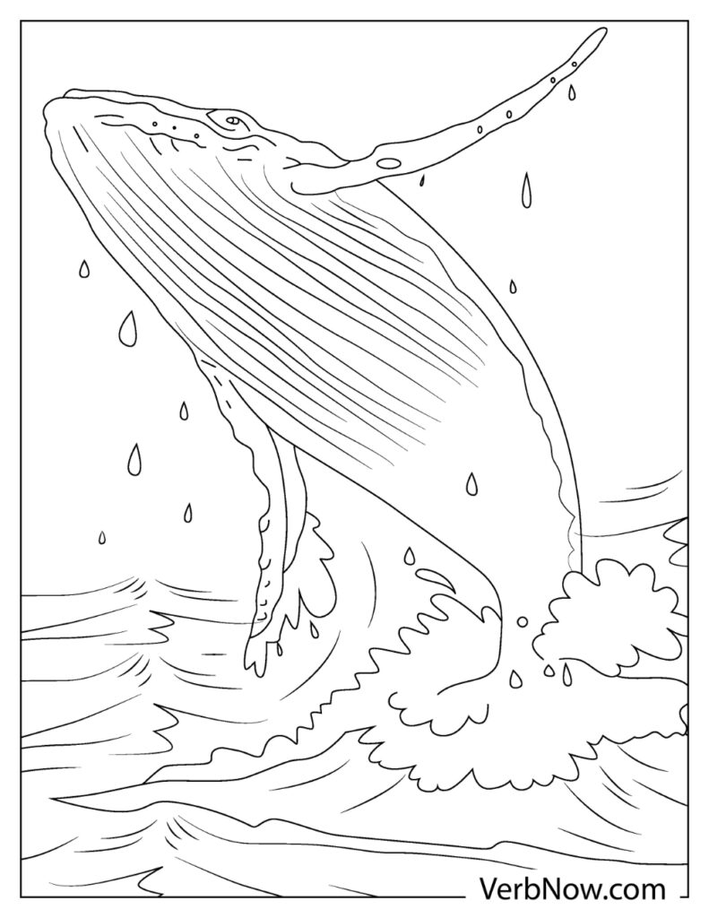 113 Whale Coloring Pages for Kids Printable 18