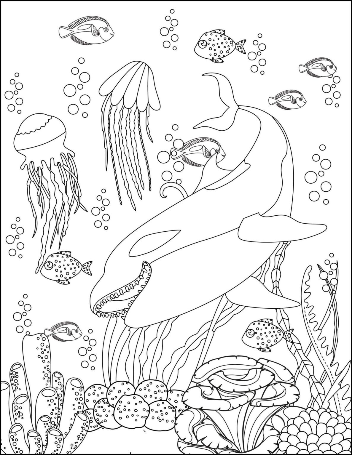 113 Whale Coloring Pages for Kids Printable 20