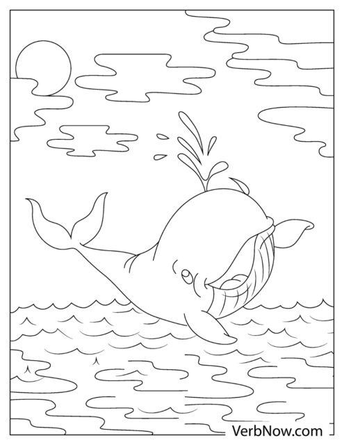 113 Whale Coloring Pages for Kids Printable 23